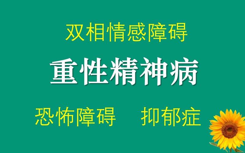 重性精神病a双相情感障碍恐怖障碍抑郁症