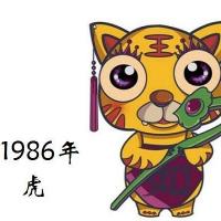 1986年属虎的人2019年运程 86年出生的虎人猪年运势