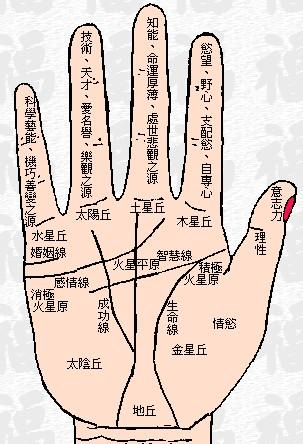 手纹算命图解女性子女