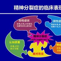 精神分裂症遗传学研究进展03271资料 ppt.ppt - 豆知网