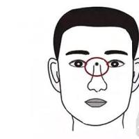 山根在面相中,通常指鼻梁根部,它位于两眉之间.