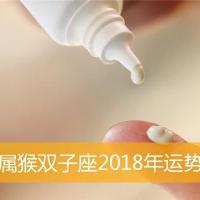 属猴双子座2018年运势