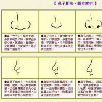 鼻子面相大全图文解说