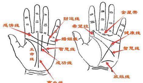 断手纹命运是好是坏