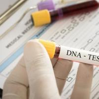 冠状病毒:家庭dna测试数据希望帮助识别增加covid-19风险的基因