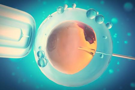 精子卵子相遇图人工受精或试管婴儿的卵子,卵子或受精卵,概念,科学