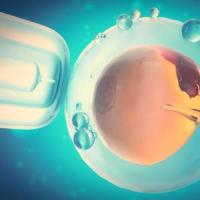 精子卵子相遇图人工受精或试管婴儿的卵子,卵子或受精卵,概念,科学