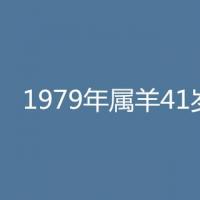 91年属羊30岁运气怎么样2021年运势详细解析