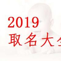 2019年猪宝宝的起名字大全,男宝 - 太极鱼起名测试网