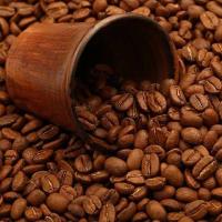 从越南到乌干达罗布斯塔咖啡经历高光一年