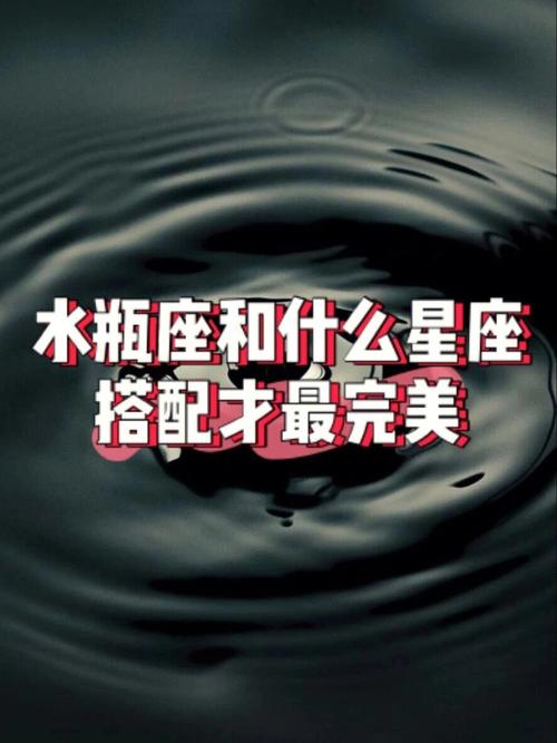 水瓶座和什么星座搭配才最完美