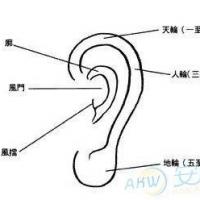 耳朵面相算命图解大全耳朵面相算命图解