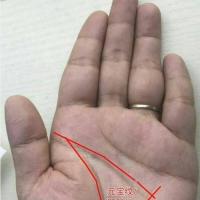 古时候人们通过手掌的纹路预测人的婚姻,事业和命运,也是手相学的一种