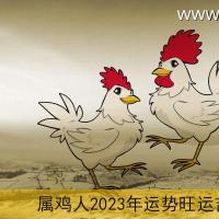 属鸡2023年运势及运程详解 2023年属鸡人的全年每月运势_祥安阁风水网