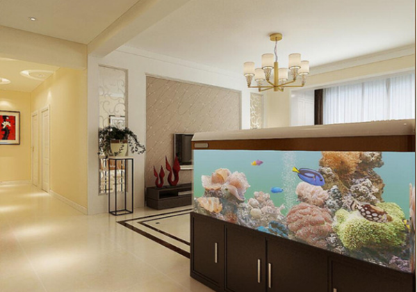 鱼缸摆放在客厅什么位置最好