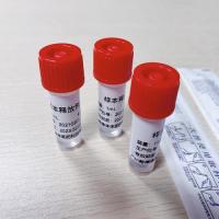 检测试剂抗体-检测试剂抗体厂家,品牌,图片,热帖-阿里巴巴