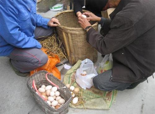 为什么农村集市上卖自家土鸡蛋的人越来越少了?真相原来是这样