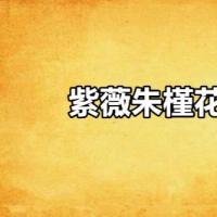 p>《紫薇朱槿花残》是连载于晋江文学城的一部近代现代小说,作者是萧