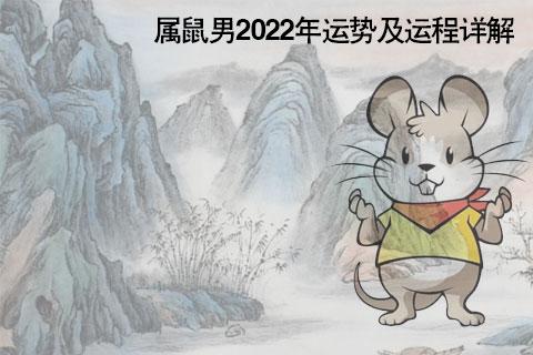 属鼠男2022年运势及运程详解 2022年属鼠人的全年运势男性_2022年生肖