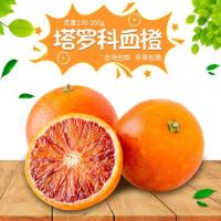 塔罗科血橙多少钱一斤