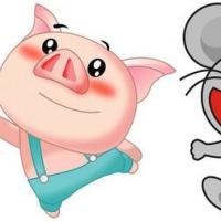 男鼠女猪的婚姻合适吗女猪的优点和缺点有哪些