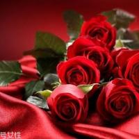 2018情人节玫瑰花多少钱一朵 玫瑰花的爱情寓意