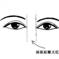 相术 面相 > 眼距窄面相详解  眼与眼之间的间隔以相等于一只眼的长度