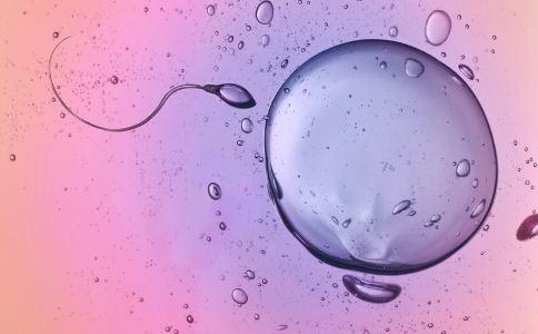 不受精是精子还是卵子的问题呢?