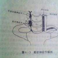 星状神经节阻滞适应症