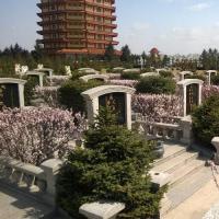 乾坤园哈尔滨好风水墓地多少钱哈尔滨哪有好的公墓