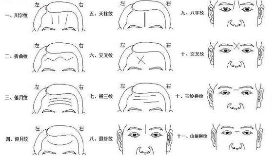 传统面相学中的