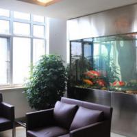 办公室风水办公室鱼缸摆放位置生肖与鱼缸应该养什么鱼该养多少应该
