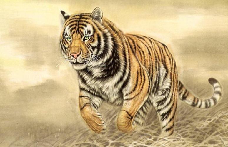 属虎1962年最大寿命1962年属虎的人是什么命