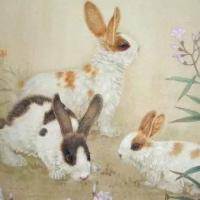 1975年属兔命运1975年出生的属兔人为乙卯兔,五行属水,属于得道之兔