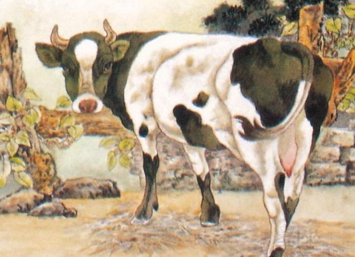 1985年的生肖牛是什么命