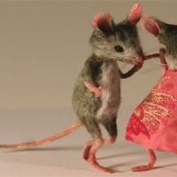 鼠和鼠相配婚姻如何