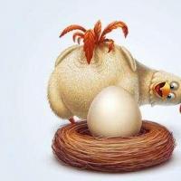 鸡天天下蛋是因为人类想要它天天下蛋,不但一天下一个,还希望它一天能