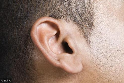 耳朵小的人命运咋样,最好的耳朵面相是什么?