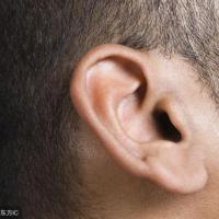 耳朵小的人命运咋样,最好的耳朵面相是什么?