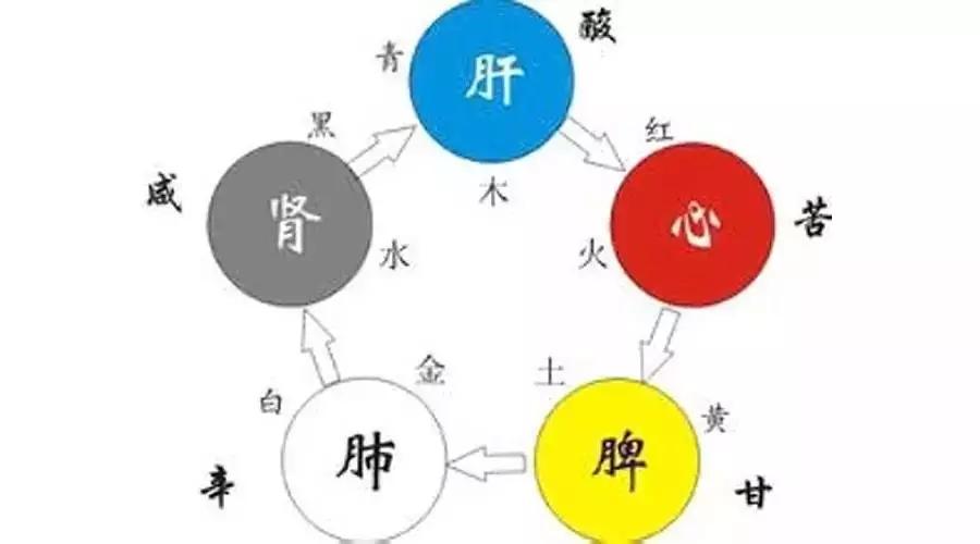 五行五色五味五季五脏六腑图