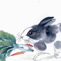 1987年属兔的人2017年运程