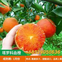 【塔罗科血橙水果】图片_价格_多少钱_什么值得买