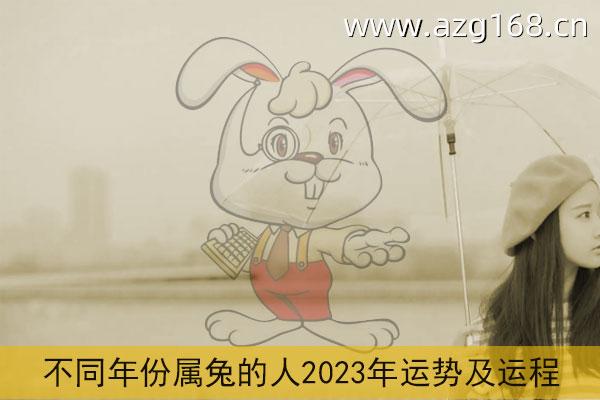 属兔2023年运势及运程详解