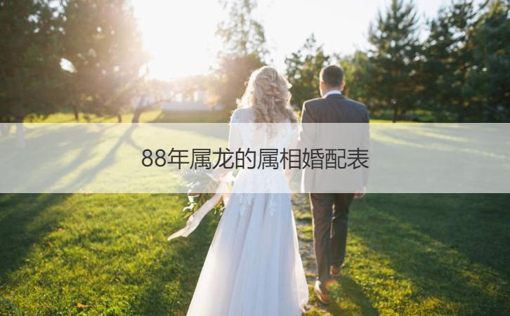 88年属龙的属相婚配表