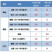 湖北江苏中大鳜开涨养户重调心态下周行情还将暗流涌动