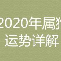 2020年属狗的年龄表及婚姻运势详解