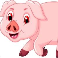 生肖运势属猪2021年运势及运程如何2021年属猪人的全年运势