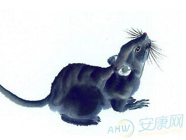 1972年出生的 属鼠人五行属桑松木之命,又称为山上之鼠.