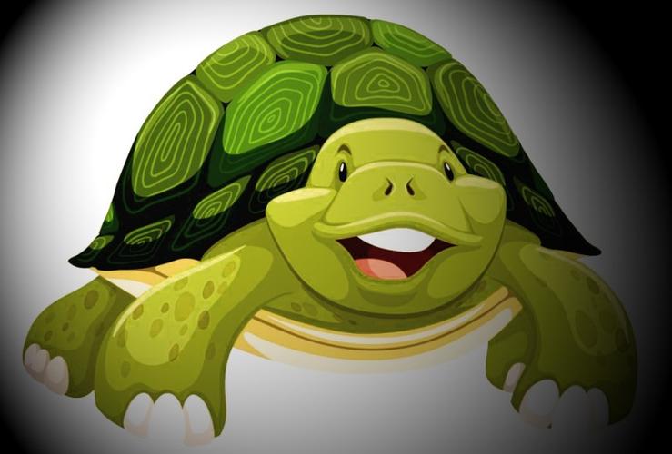 做梦梦见乌龟是什么意思梦见乌龟好不好梦见乌龟咬人代表什么