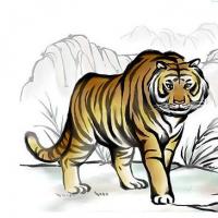 老虎是山中之王,在大家的心里是以霸道,豪横,有本领的形象存在的,与之